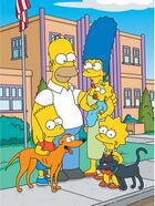The Simpsons / The Simpsons (&nbsp;)