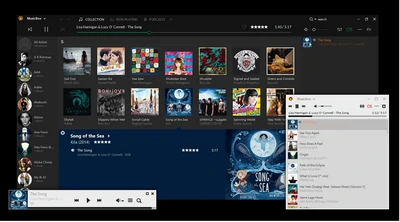 MusicBee music library